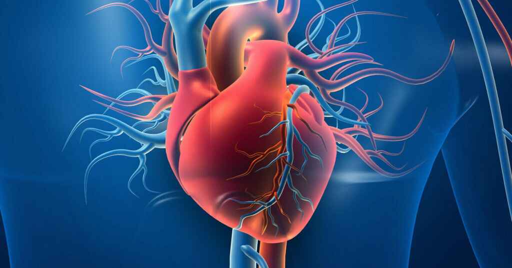 Cardiovascular Health